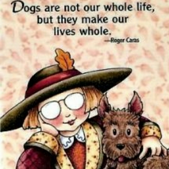 PLEASE SHOP HERE! - Picture 15 of 16